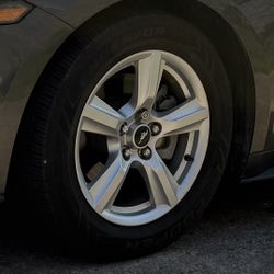4 Rims