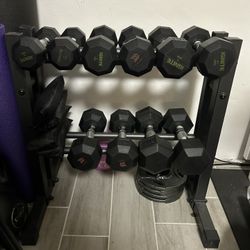 Dumbbells And Rack