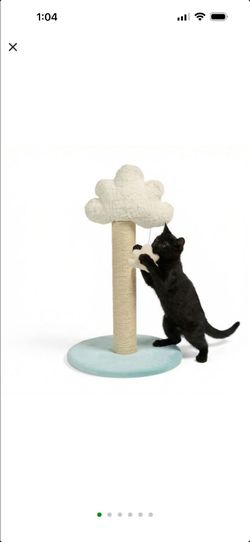 Cat octagon and scratcher pole