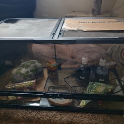 40 Gallon Terrarium 