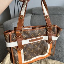 Preowned Authentic Louis Vuitton Limited Edition Coated Canvas