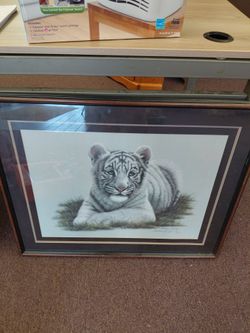 Harold Rigsby tiger picture