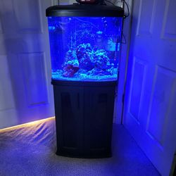 Reef Tank Salt Water Fish Tank