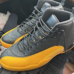 Air Jordan 12s