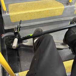 Electric Scooter 