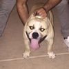 Luis