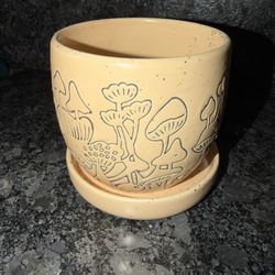 Urban Outfitters Ceramic Mushroom Etched Planter and Tray