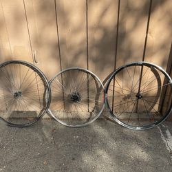 Bike Rims
