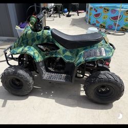110ATV 