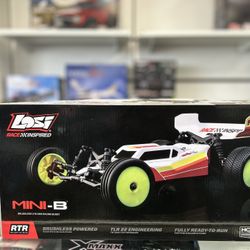 Losi Mini -B 1/16 Brushless 2WD Racing Buggy