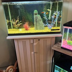 Fish tank with everything