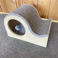 Kittens First Toy