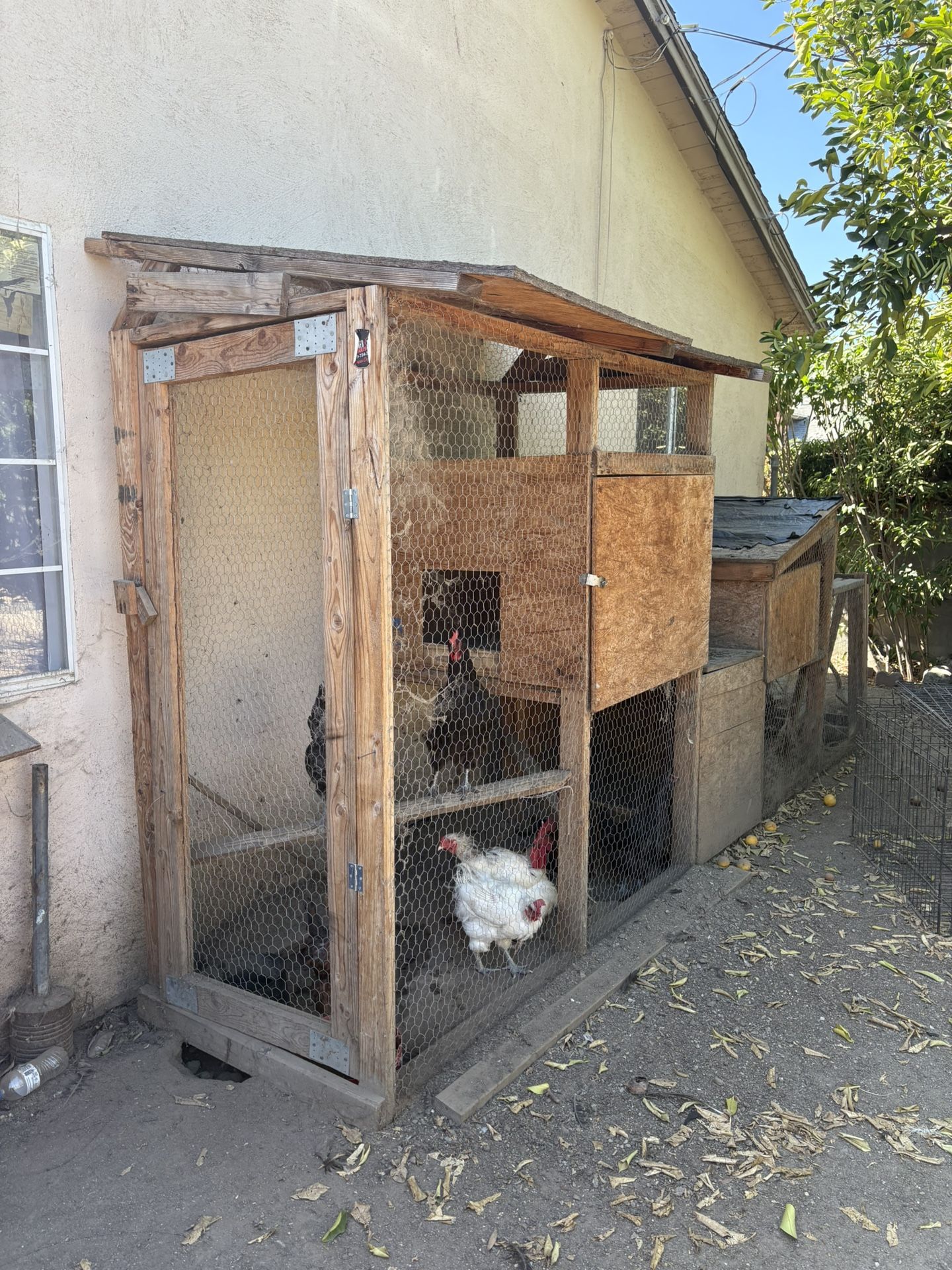 Chicken Coops For Sale