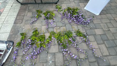 Purple Flower Vines