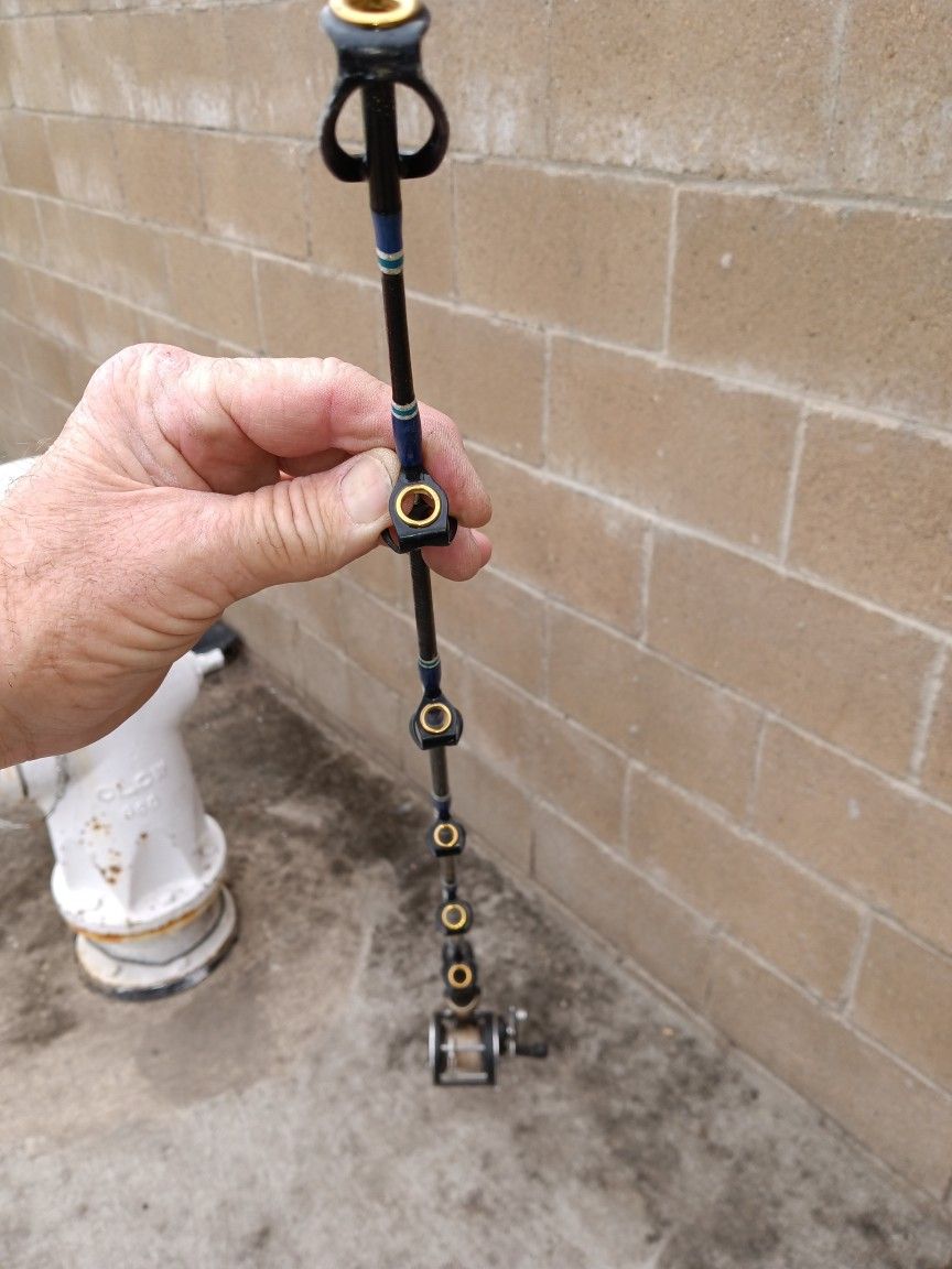  BOT MASTER / FISHING POLE /  PENN ⚡REEL