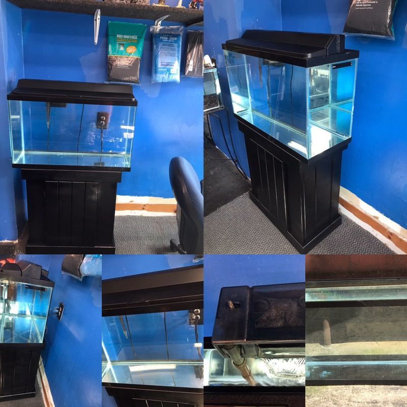 29 gallon aquarium fish tank complete set up $100