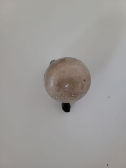 Bike Bell