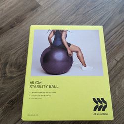Stability Ball (Medium Size)