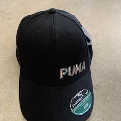 Pumas hat