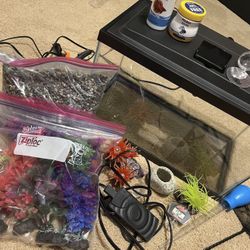 Fish Tank Set Up