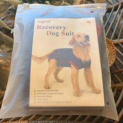 Recovery Dog Suit