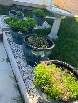 5 Large Glazed Ceramic Garden Planters - Blue & Gray - Bereavement Sale