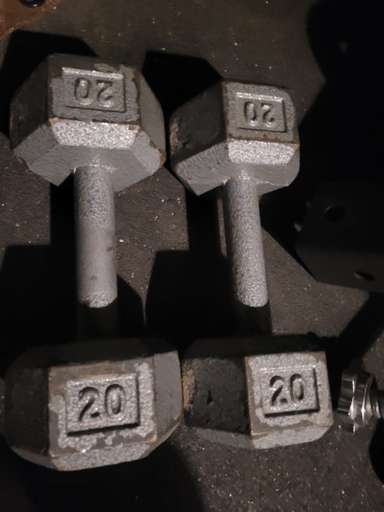 20lbs Dumbells Weights