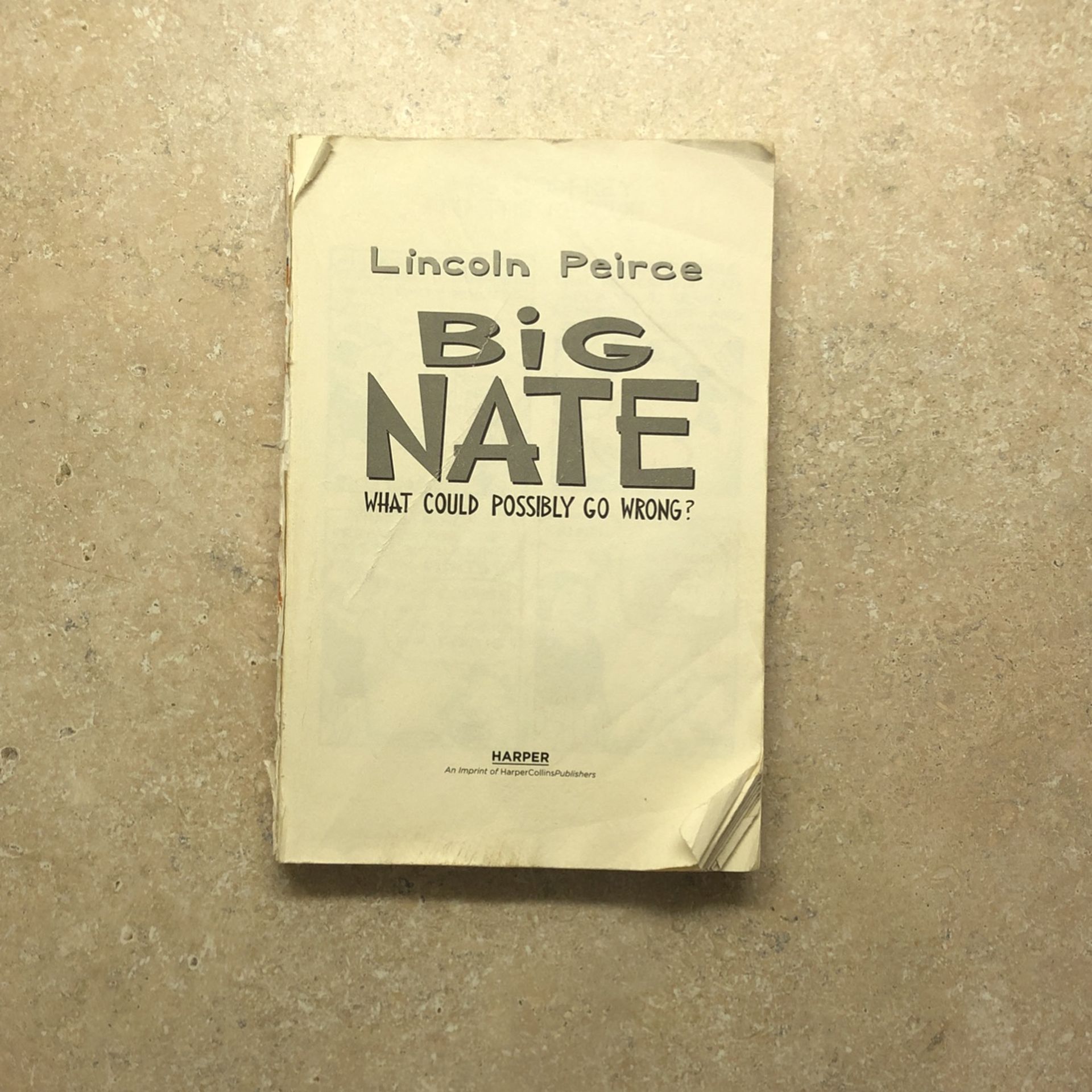 Big Nate: What Could Possible Go Wrong
