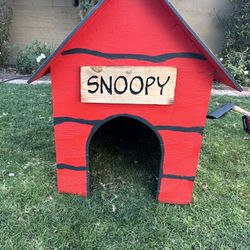 Dog House - Snoopy Charlie Brown 