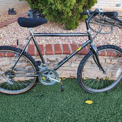 Vintage GIANT black Chrome Bicycle