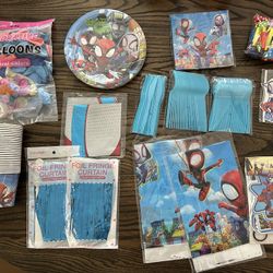 19pcs Spidey & His Amazing Friends Party Bundle