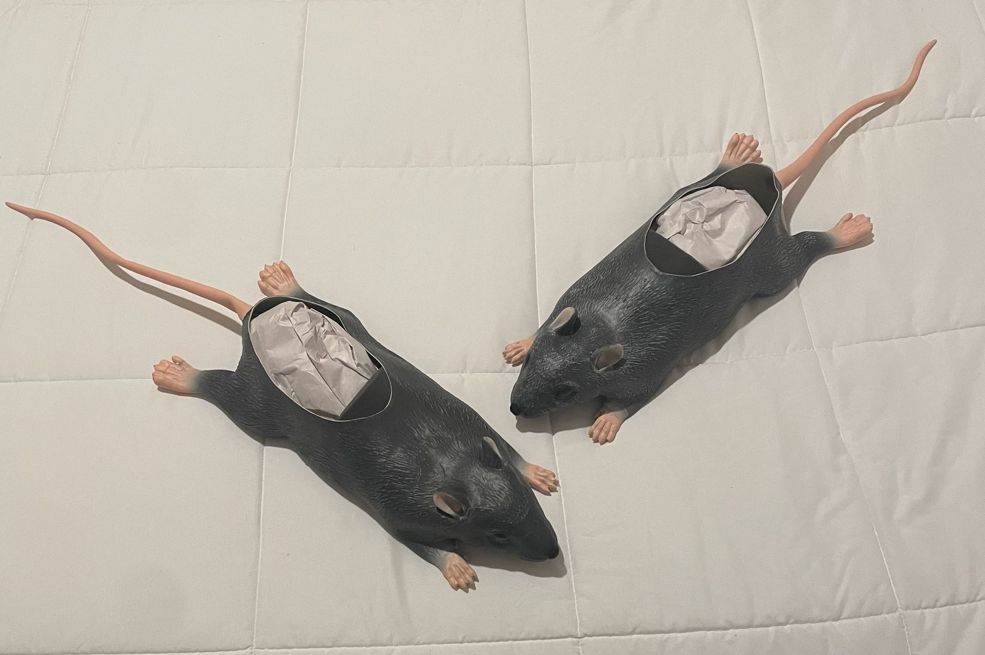 BRAND NEW Imran Potato Rat Slippers (One Size Fits All)