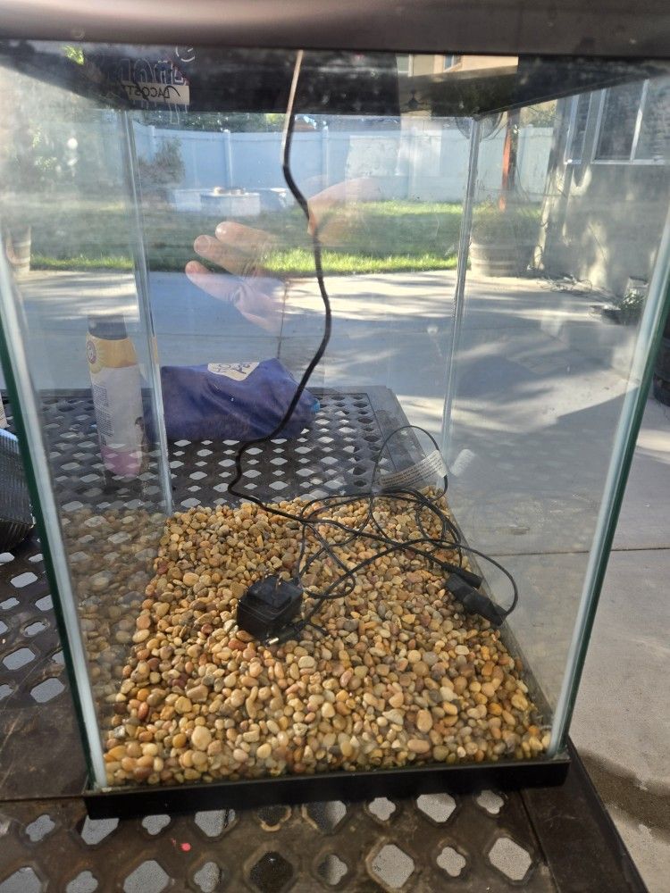 10 Gallon Fish Tank