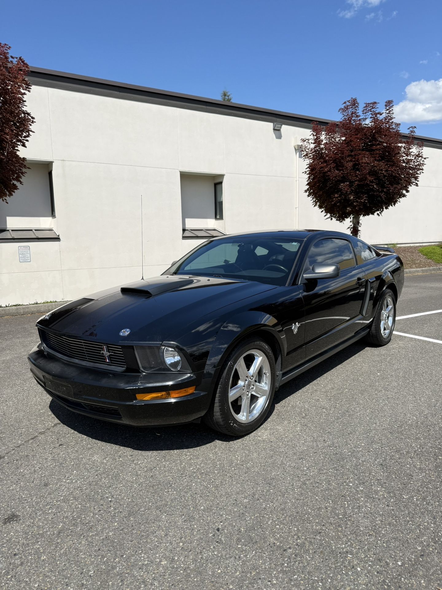 2009 Ford Mustang