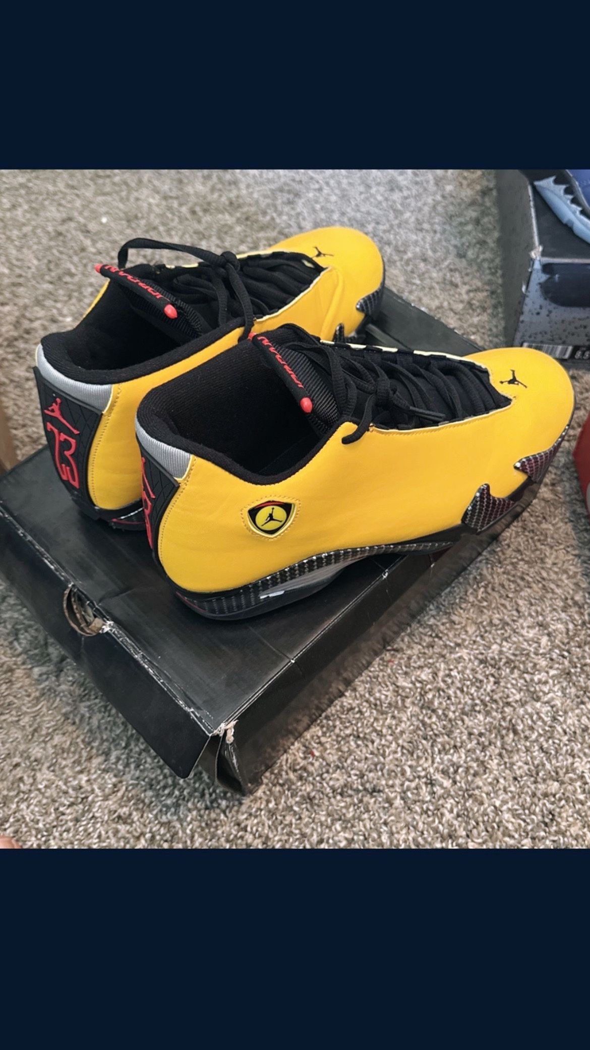 Jordan 14’s Reverse Ferrari