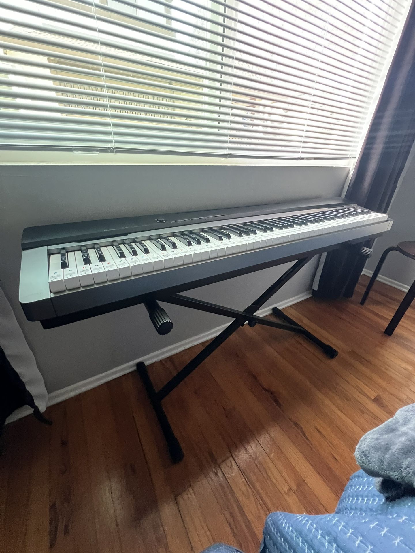 Casio PRIVIA PX130 Portable Keyboard With Stand & Pedal