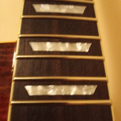 Agile Lp Style 2000.  Custom