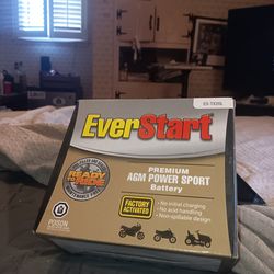 EVERSTART PREMIUM BATTERY