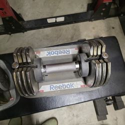 Adjustable Dumbbells