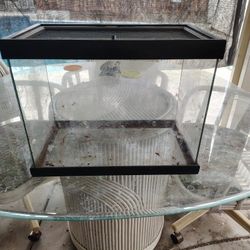 Assorted Small Reptile Tanks