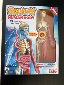 Squishy Human Body Smart Lab STEAM Toy