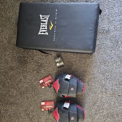 Boxing Striking Pads