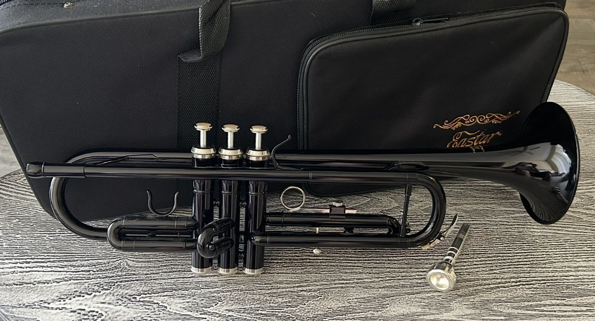 Trumpet with carry case in excellent condition, complete with mouthpiece. $85