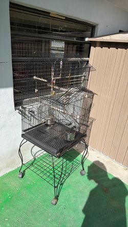 Bird Cage 