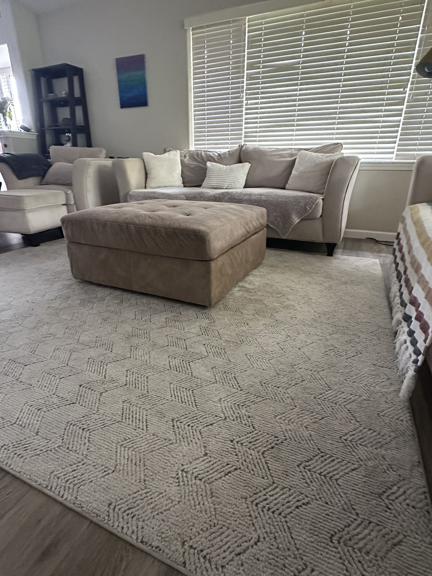 Room Rug