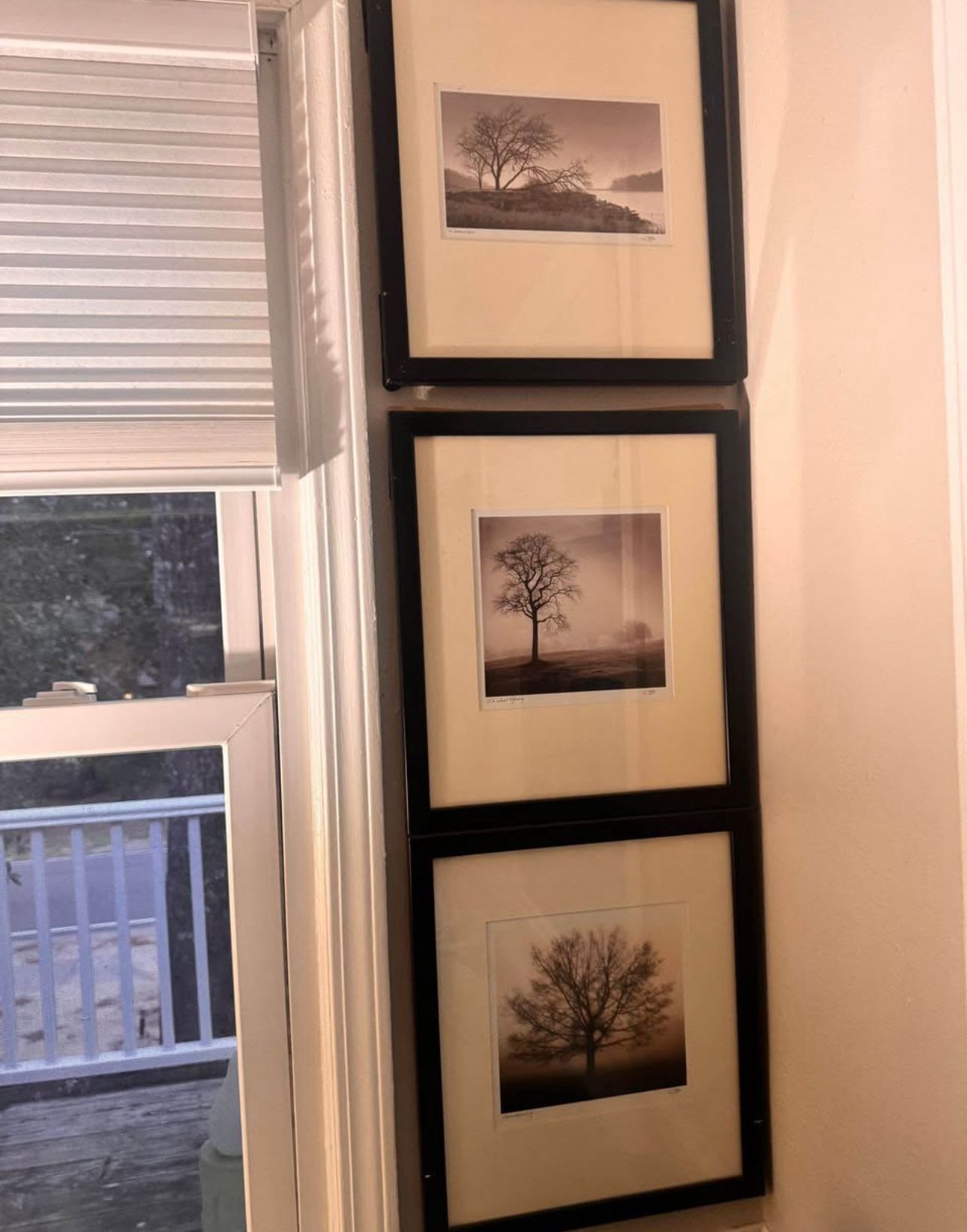 3 Art Framed 