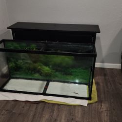 60 Gallon Aquarium (No Fish)