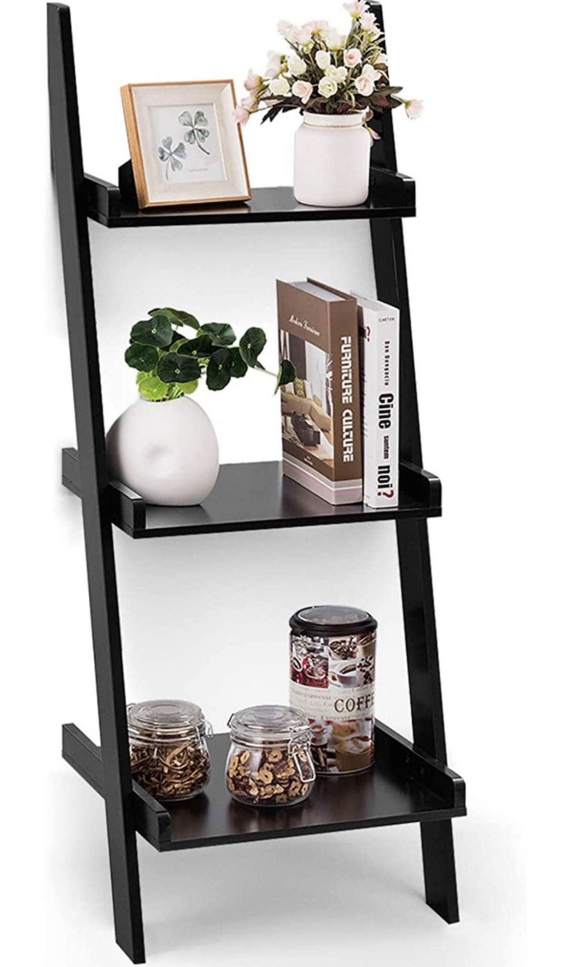 Ladder Shelf