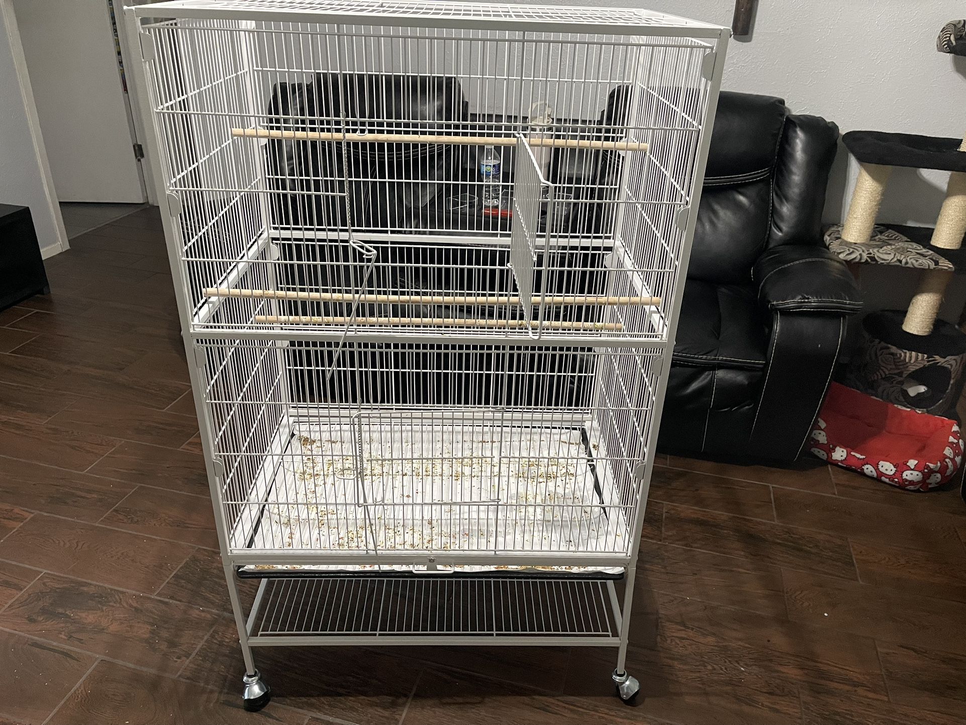 Bird Cage