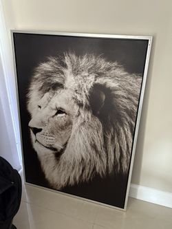 Lion Wall Art